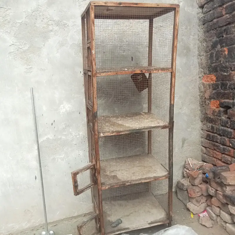Lakdi Ka majbut Pinjra — photo 3