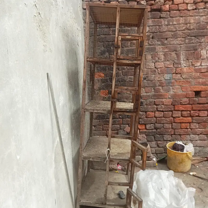 Lakdi Ka majbut Pinjra — photo 4