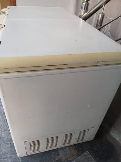 Hair Deep-freezer