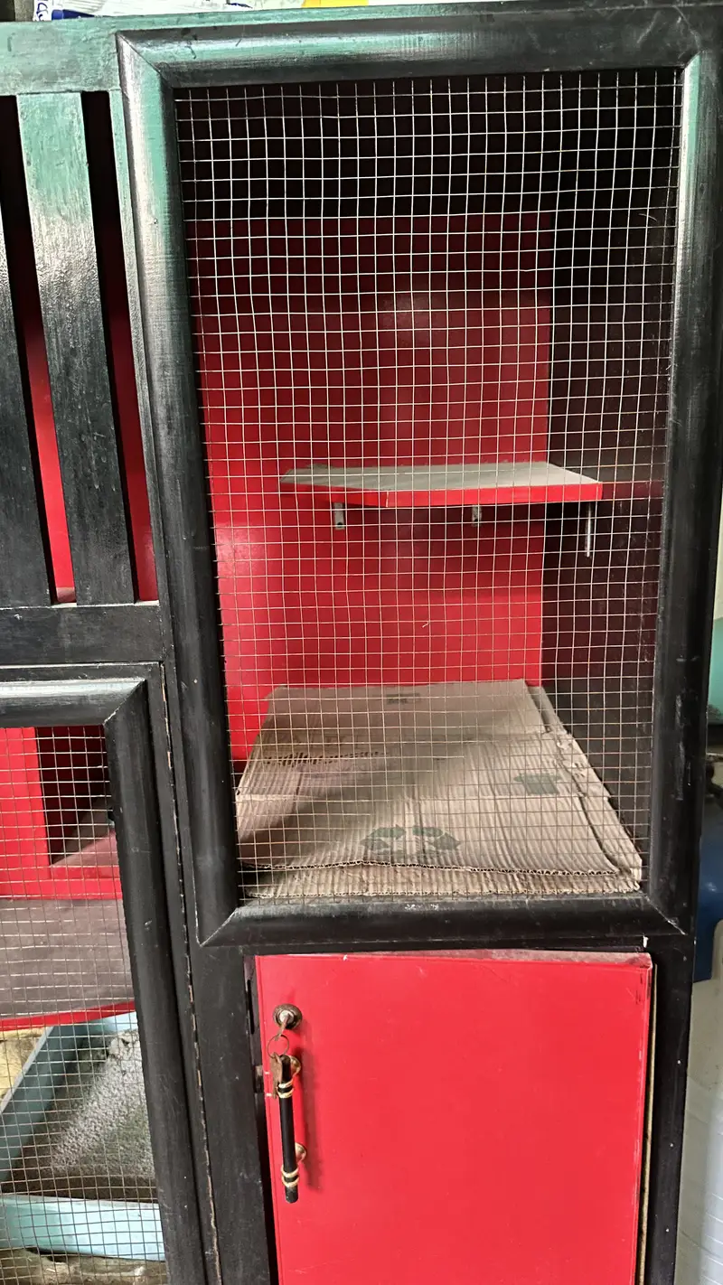 Beautiful Cat Cage Waterproof — photo 3