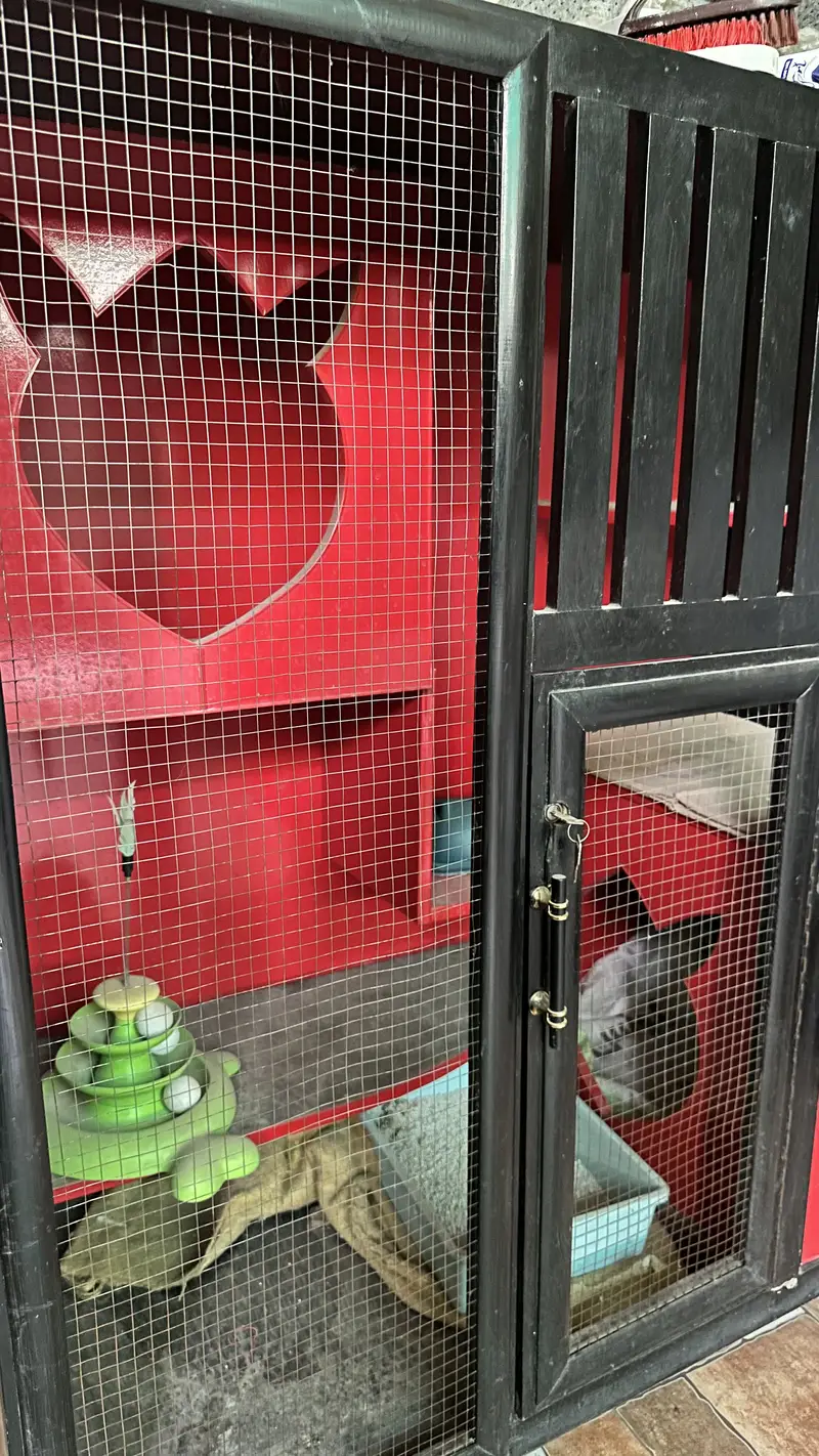 Beautiful Cat Cage Waterproof — photo 4