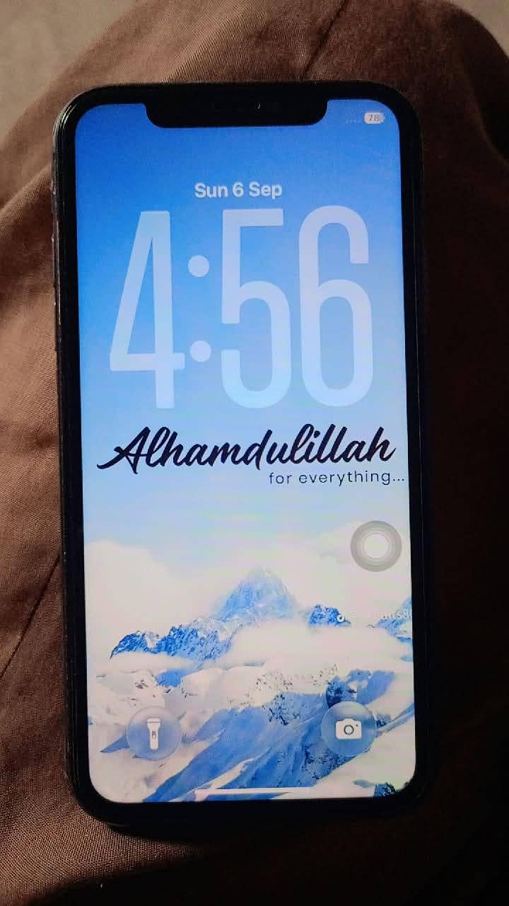 Apple iPhone 11 0