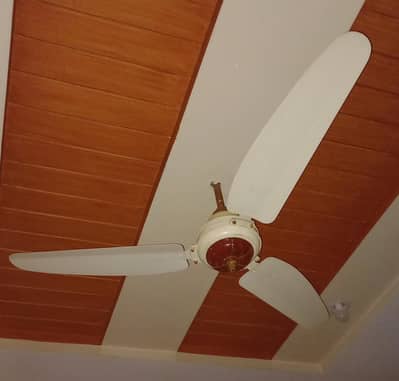 used celling fans