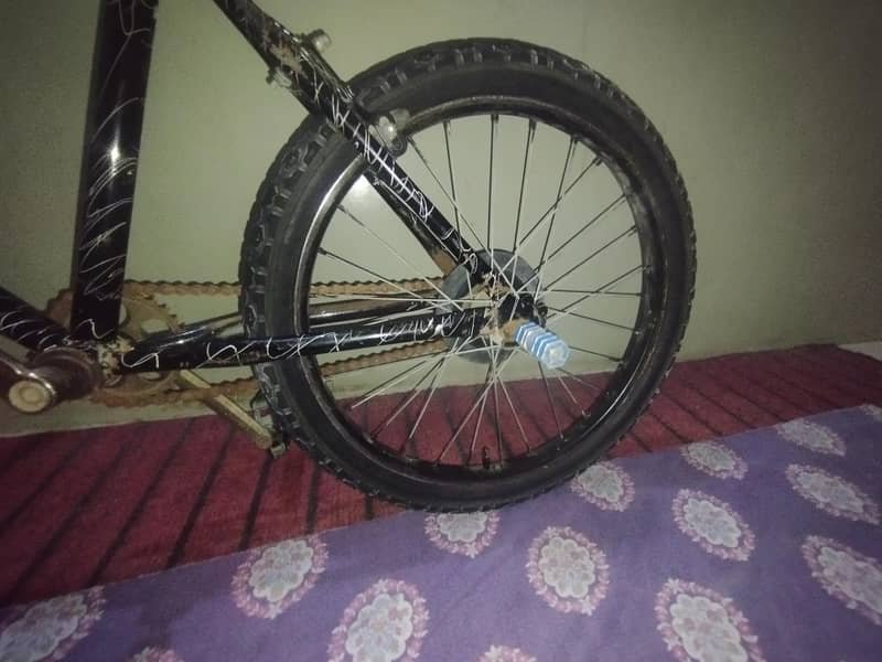 single frame cycle 1