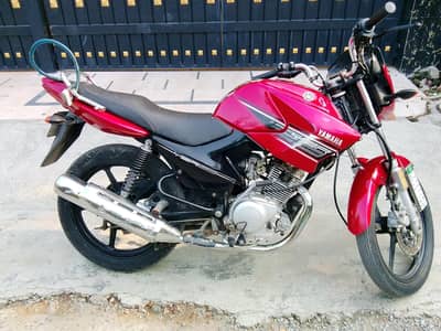 Ybr 2016 for sale
