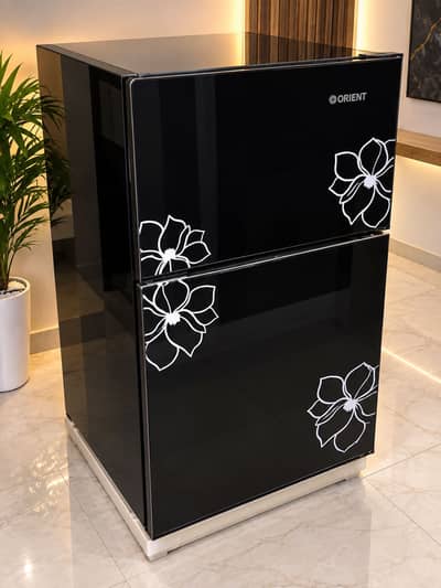 Mini Fridge 2 Doors Orient Company Freezer And Fridge