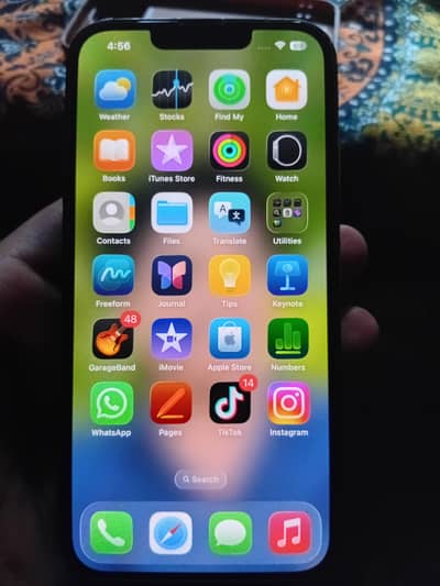 Apple iPhone 13