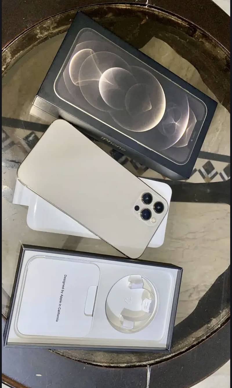 Apple iPhone 12 Pro Max 1