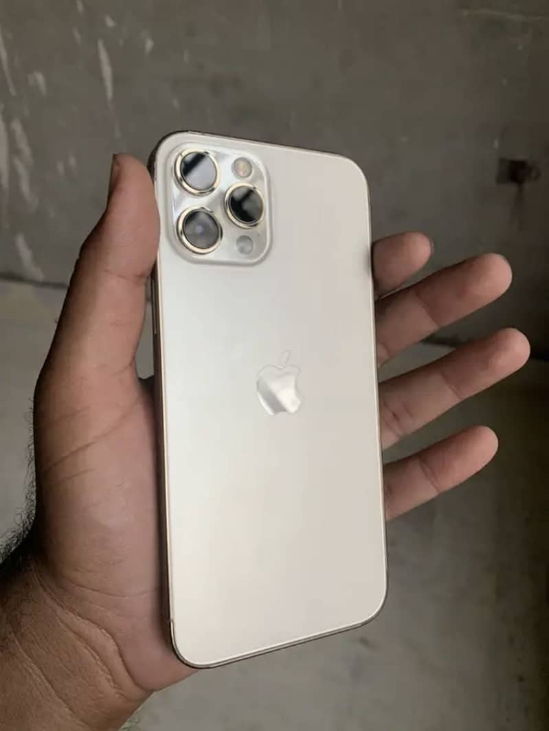 Apple iPhone 12 Pro Max 2