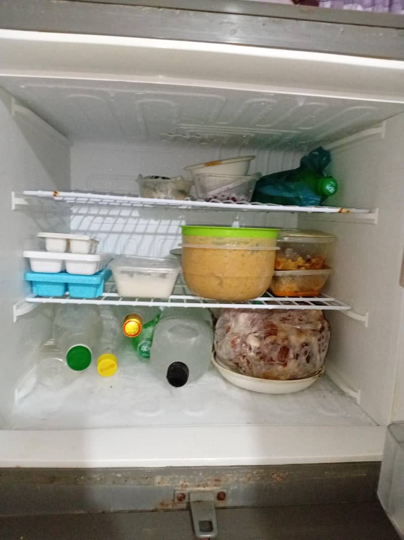 Pel fridge 2