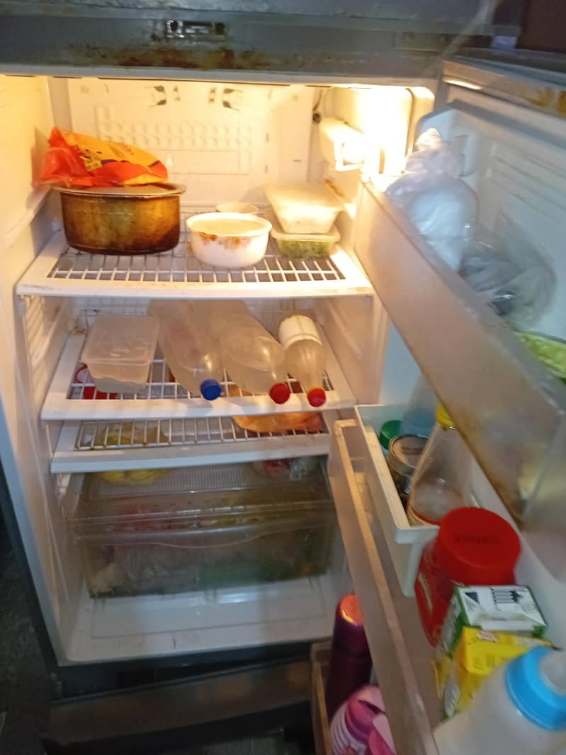 Pel fridge 3