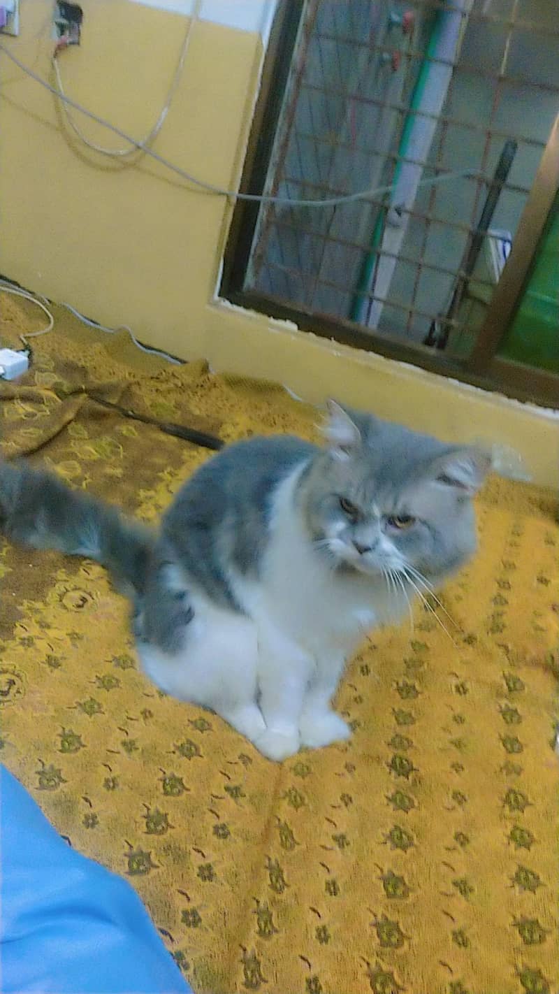 perasan 2