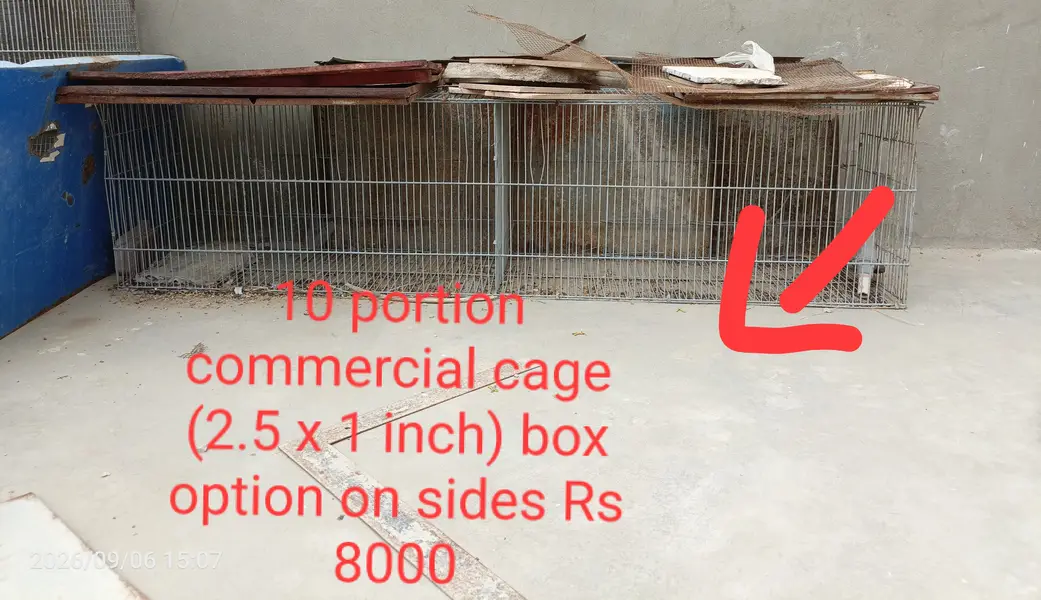 Cages for bajri, cocktail, finch, love birds, java — photo 2
