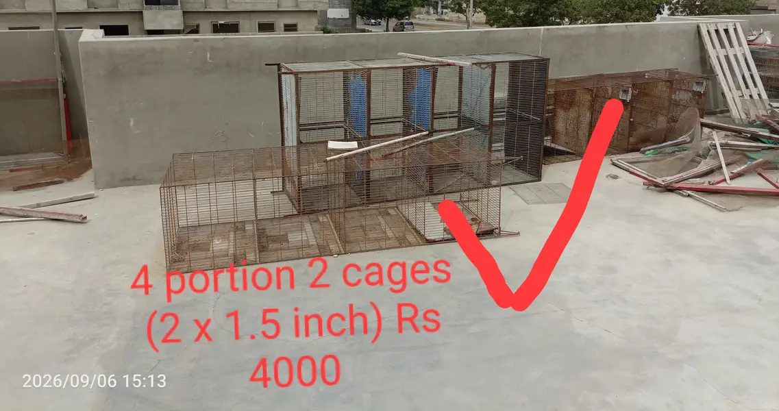Cages for bajri, cocktail, finch, love birds, java — photo 3