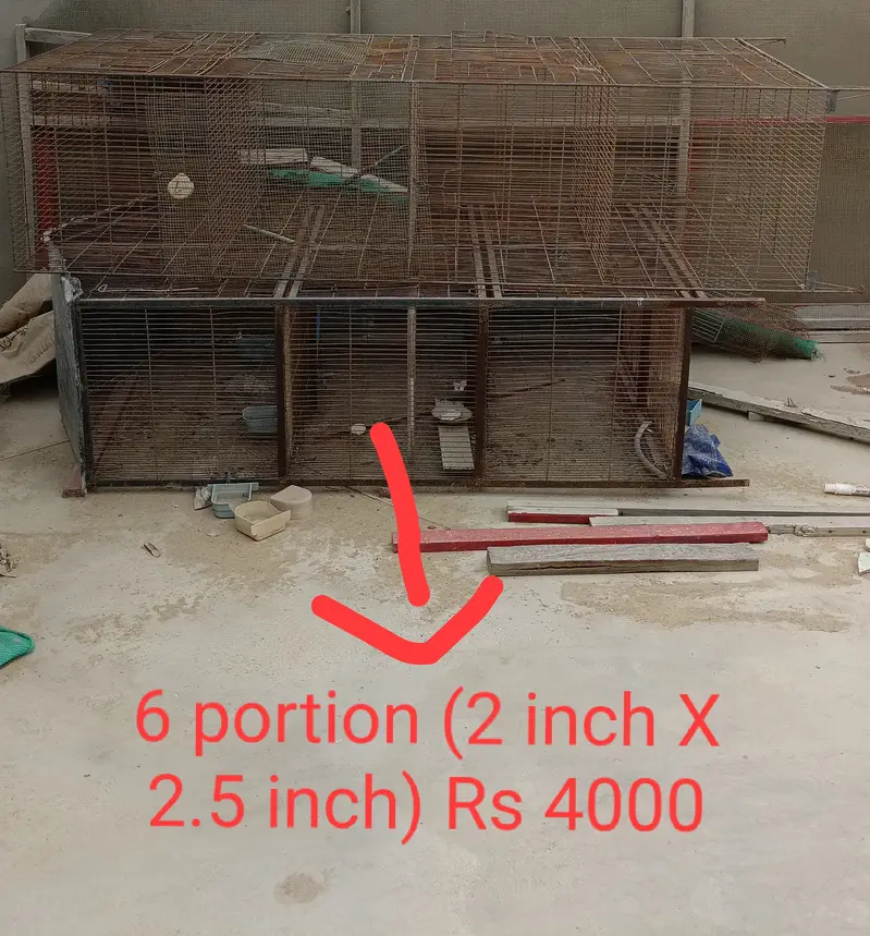 Cages for bajri, cocktail, finch, love birds, java — photo 5