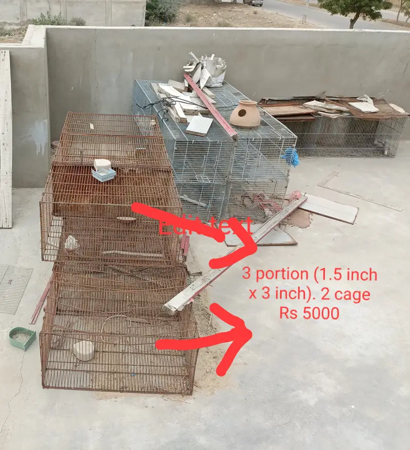 Cages for bajri, cocktail, finch, love birds, java — photo 6