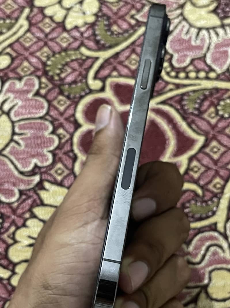 Apple iPhone 13 Pro Max 2