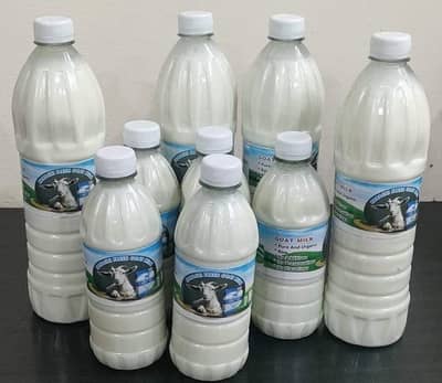 PURE GOAT MILK