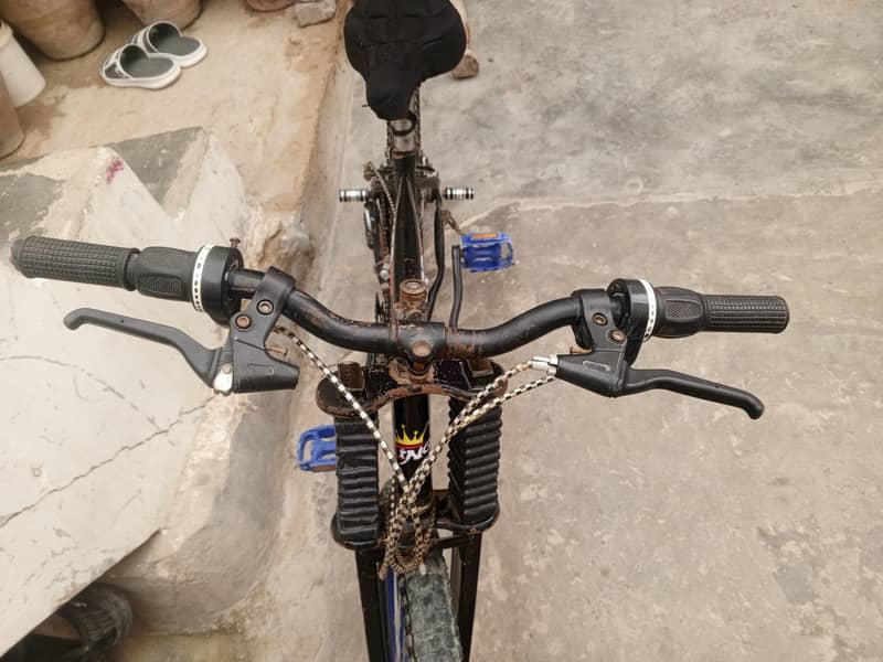 cycle 3