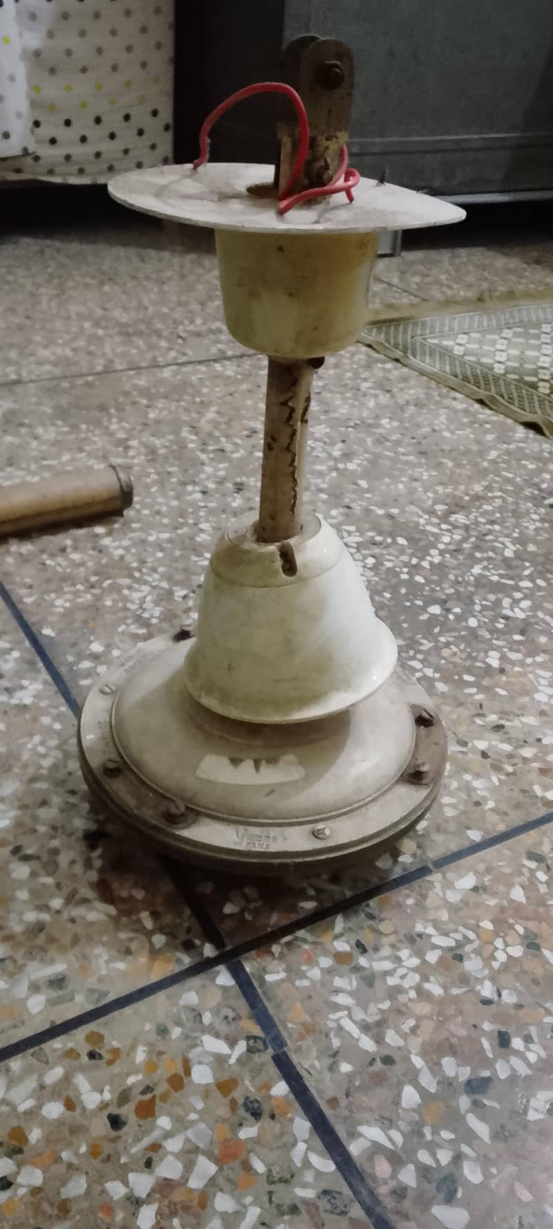 FANS old 1