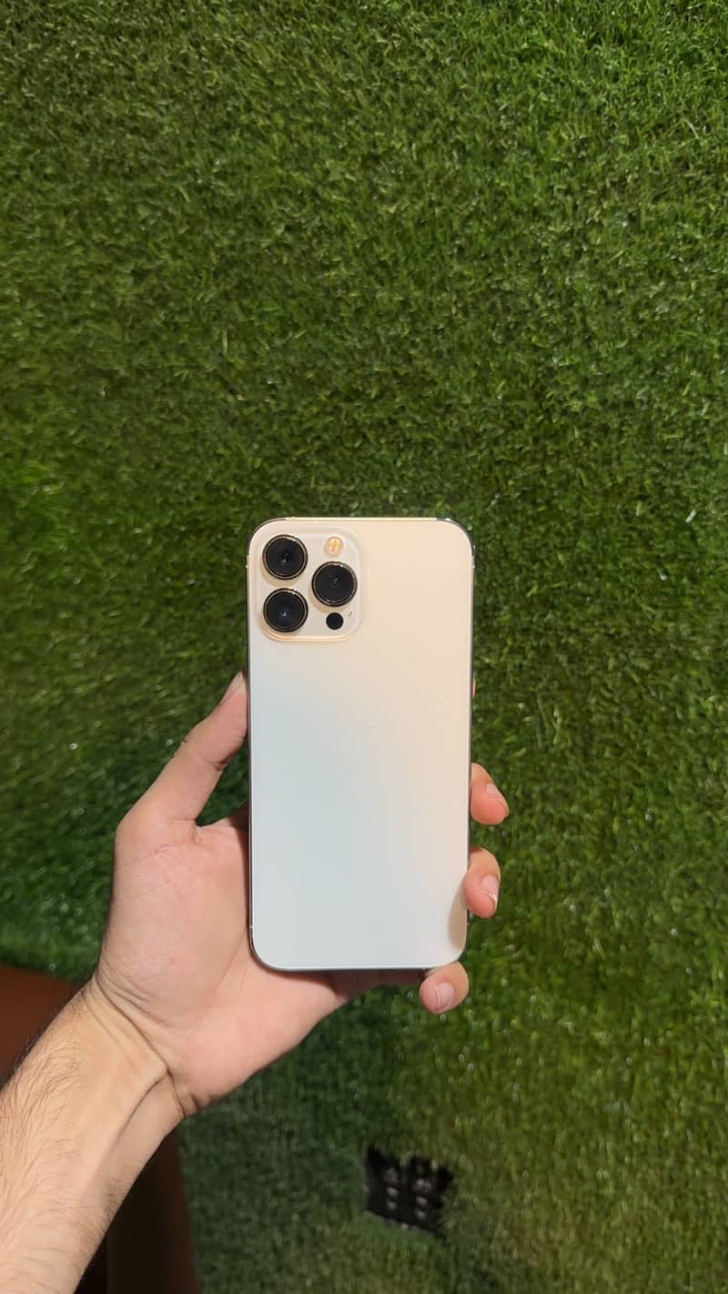 Apple iPhone 13 Pro Max 1