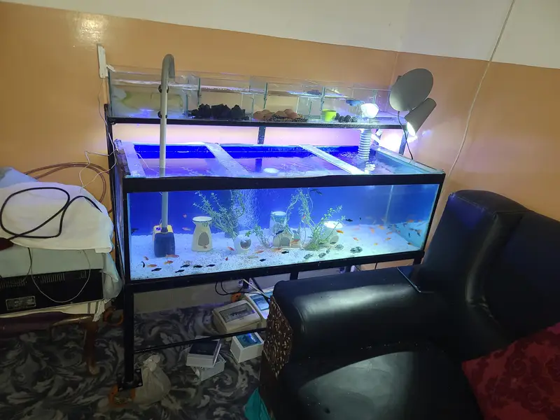 Complete aquarium 4 ft + — photo 3