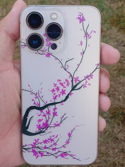 Apple iPhone 13 Pro