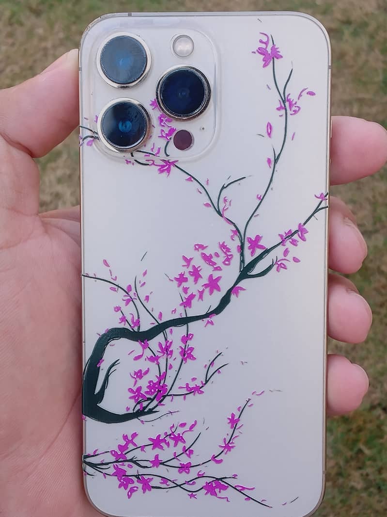 Apple iPhone 13 Pro 2
