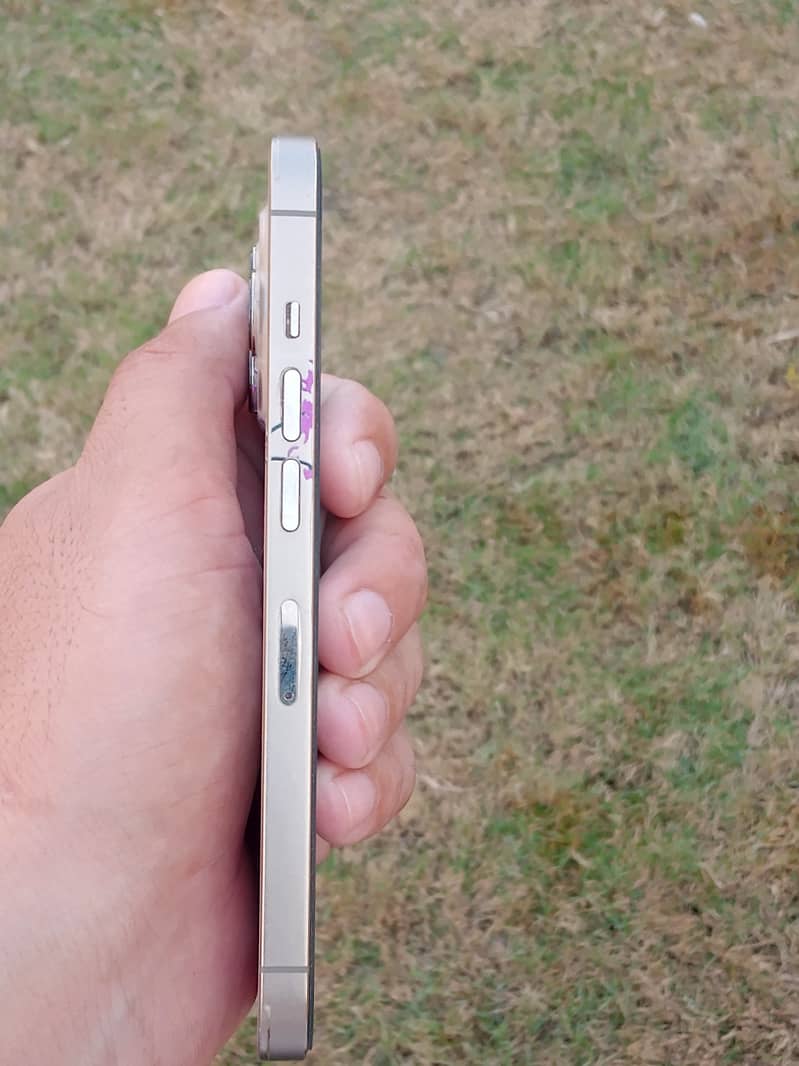 Apple iPhone 13 Pro 3