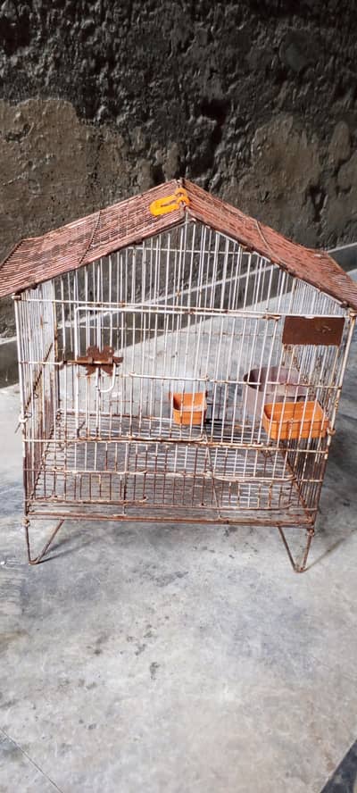 cage for parrot and chicks