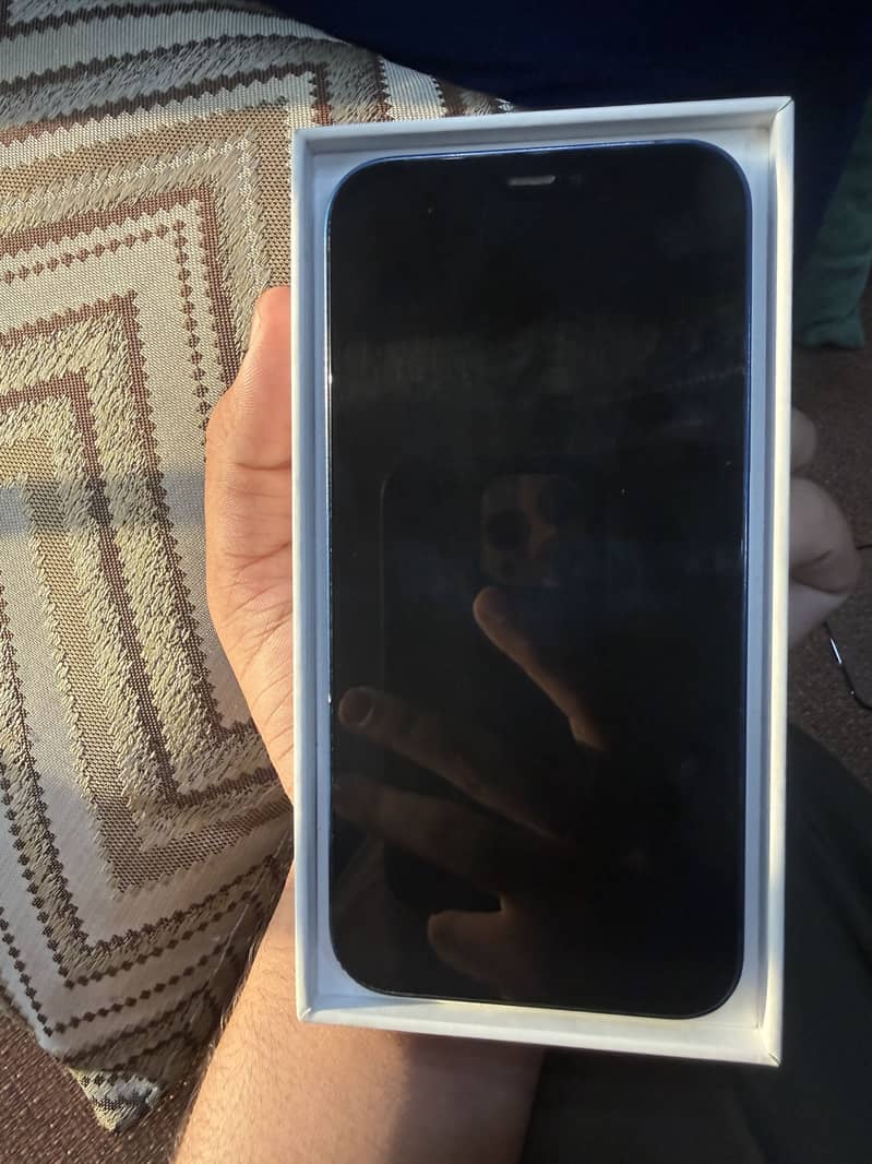 Apple iPhone 12 1