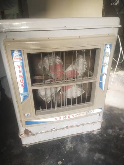 Air Cooler