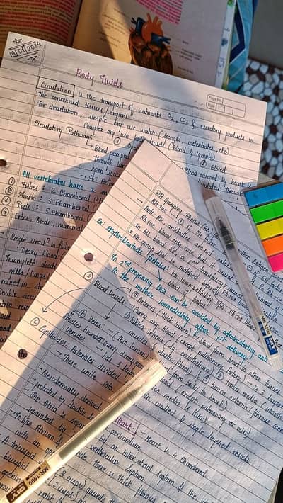 Assignments work