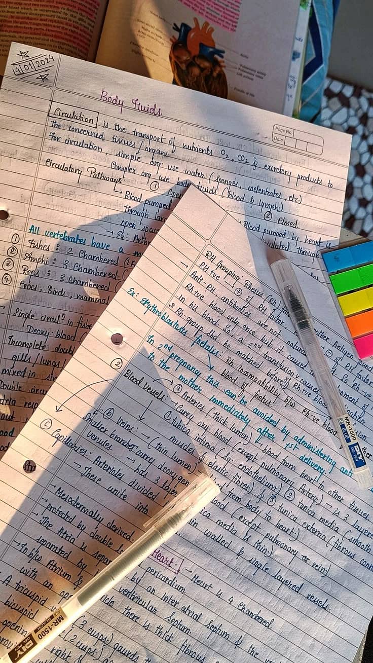Assignments work 0