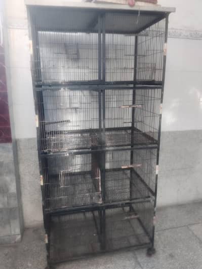 cage 8portion