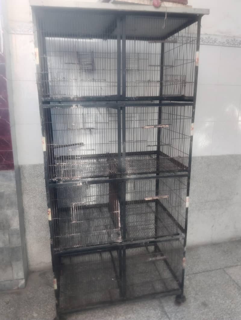 cage 8portion 0