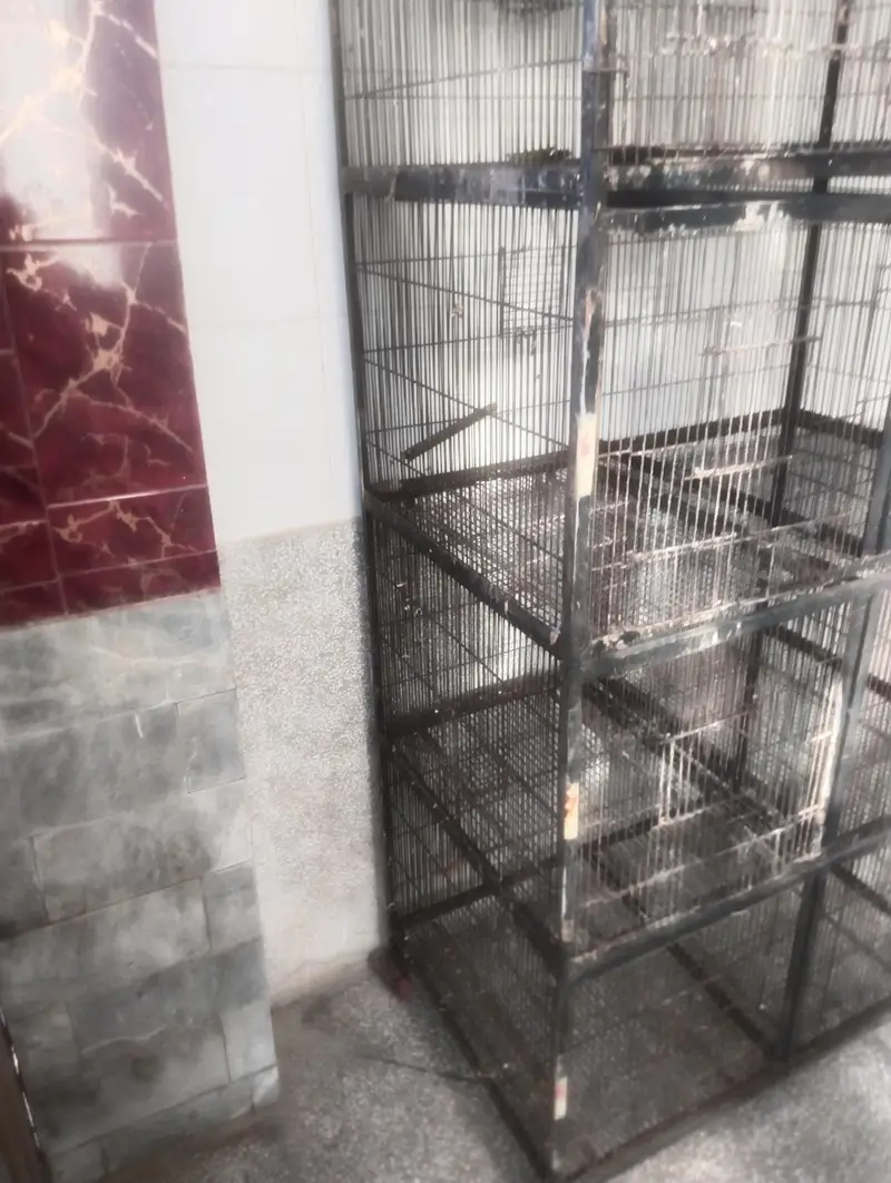 cage 8portion — photo 2