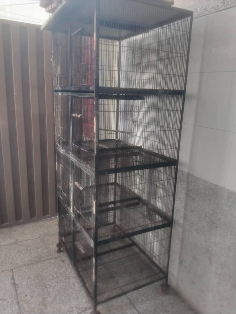 cage 8portion 2