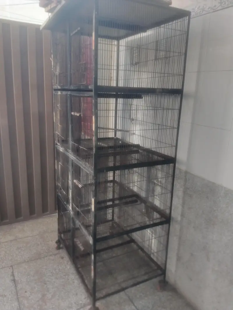 cage 8portion — photo 3