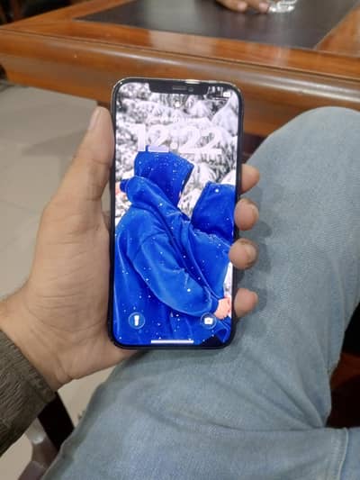 Apple iPhone 12 Pro Max