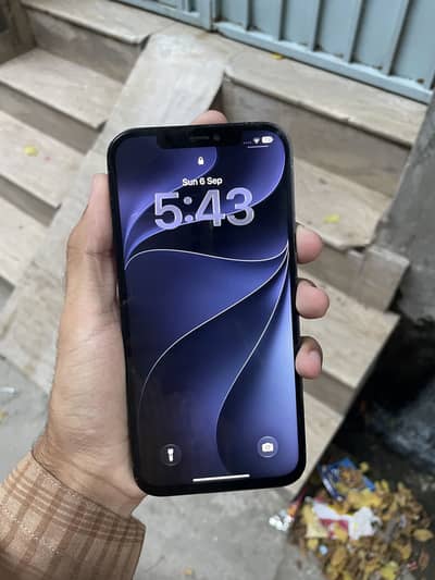 Apple iPhone 12 Pro Max 256Gb Non Pta