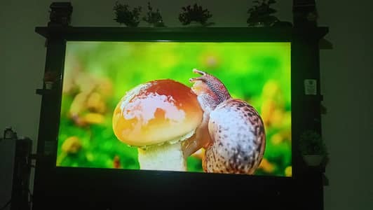 TCL smat google tv for sale