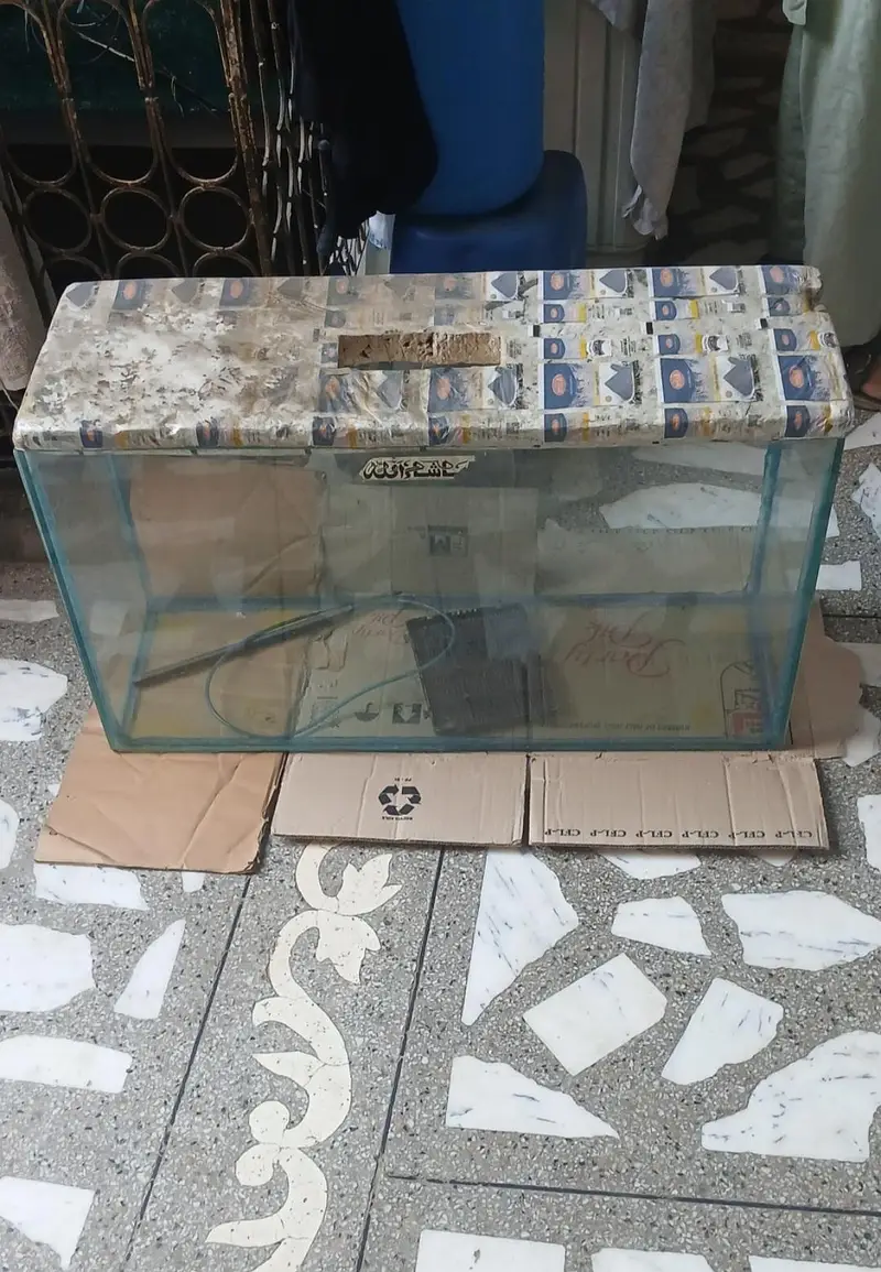 Aquariums fish Tanks — photo 4