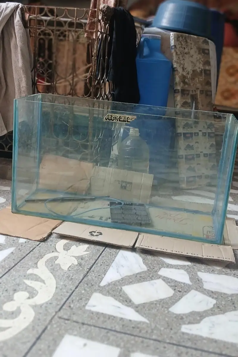 Aquariums fish Tanks — photo 6