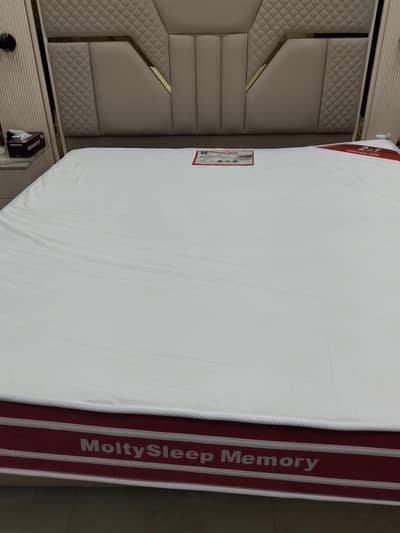 molty memory foam 8 inch