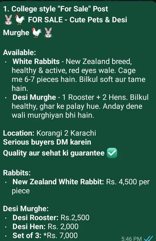* FOR SALE - Cute Pets & Desi Murghe * — photo 3