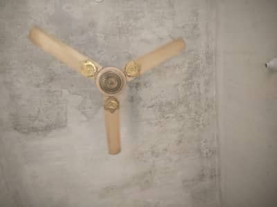 copper fan for sale just in 5k
