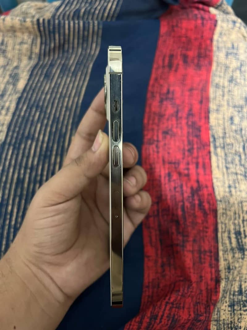 Apple iPhone 12 Pro Max 1
