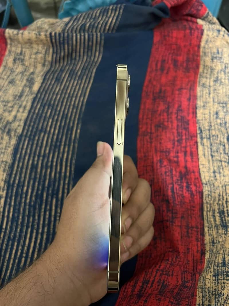 Apple iPhone 12 Pro Max 2