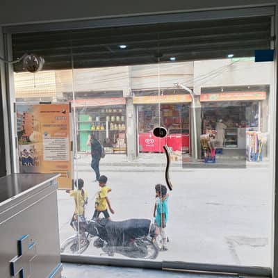 Aluminum Glass door